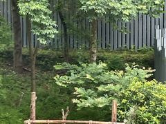 -黔灵山公园