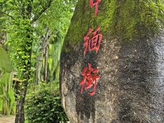 -一寨两国风景区