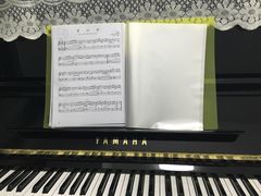 -梅纳·钢琴声乐架子鼓Mena Music(双井店)