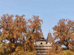 -北京石刻艺术博物馆(五塔寺)