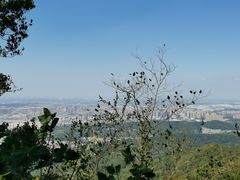 -紫金山山顶公园