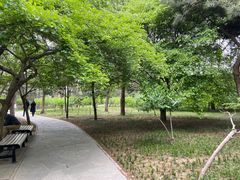 -玲珑塔公园