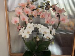 -双季花艺园艺市场(浦东店)