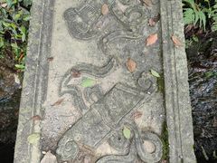 -杨家堂村