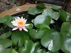 -协和菜馆(凤凰街店)