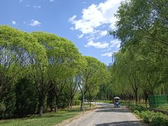 -永定河休闲森林公园