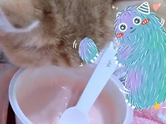 -乐纯(苹果社区店)