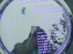 -重庆丽苑维景国际大酒店·海鲜自助餐厅