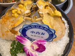 -东海怡品海鲜豆捞(舟宿夜江店)