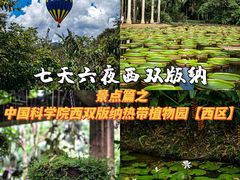 -中国科学院西双版纳热带植物园