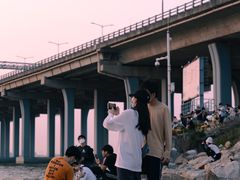 -宝安西湾红树林湿地公园