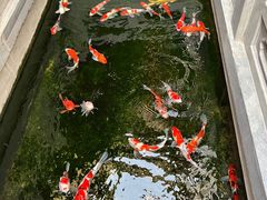 -鲤院·新中式美学·庭院餐厅(夫子庙店)