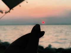 -苏州东太湖生态园