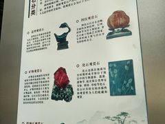 -中华赏石园