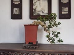 -个园