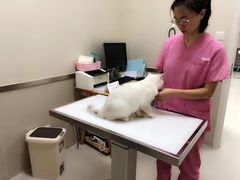 -爱妮康宠物医院·干细胞免疫细胞·肿瘤·心脏(张江店)