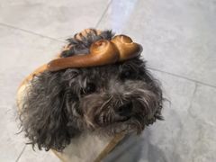 -盒马鲜生(帝斯曼店)