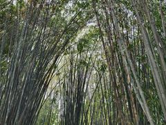 -成都杜甫草堂博物馆