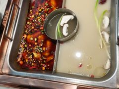-新辣道鱼火锅(领展购物广场·中关村店)