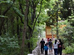 -灵岩山风景区