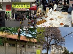 -清真·拉菲尔鱼庄·家常菜(钟楼回民街店)