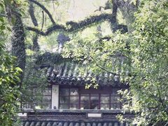 -蒋氏故居