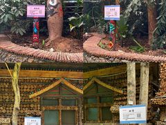 -呀路古热带植物园