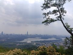 -紫金山天文台