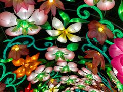 -欢乐海岸椰林沙滩-2025湾区超级灯会