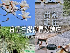 -出走咖啡·面包(宋庄店)