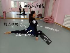 -蒲公英舞蹈艺术中心(促进路校区)