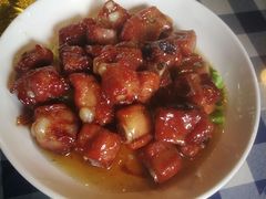 -大队长大灶鹅