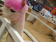 -北京华联购物中心(天通苑店)