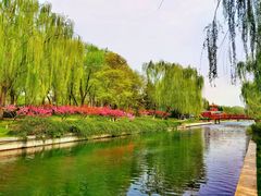 -元大都城垣遗址公园