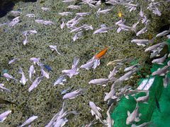 -常州海昌海洋探索馆