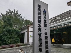 -桤木河湿地公园