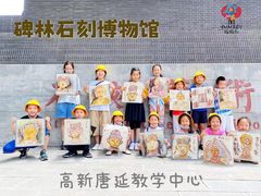 -杨梅红艺术教育(西安高新唐延教学中心)
