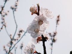 -苏州东太湖生态园