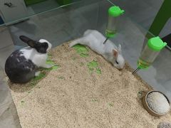 -北京华联购物中心(天通苑店)