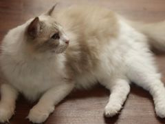 -默迹咖啡馆