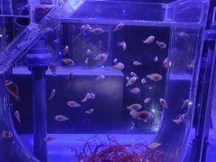 -海合安青岛极地海洋公园