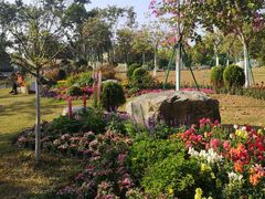 -东莞植物园