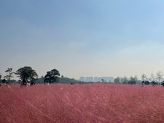 -汉长安城未央宫国家考古遗址公园