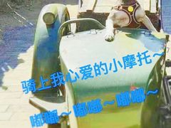 -清风小镇闯关东影视基地