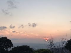 -草山夜未眠景观餐厅