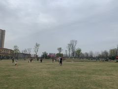-府河摄影公园