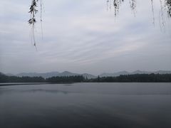 -苏堤停车场