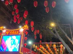 -越秀西湖花市(广州城市广场花卉店)