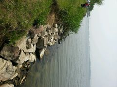 android_upload_pic-漕湖湿地公园