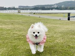 -上海月湖雕塑公园